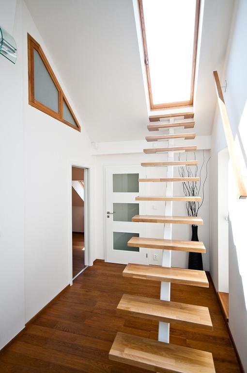 Apartment Starkova Prag